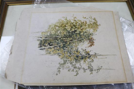 David Cox, watercolour, valley landscape, signed, 19 x 24cm and an unframed study of vines